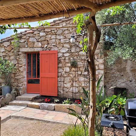 Stazzu La Capretta Farm Camping & Guest Rooms 奧爾比亞 外观 照片