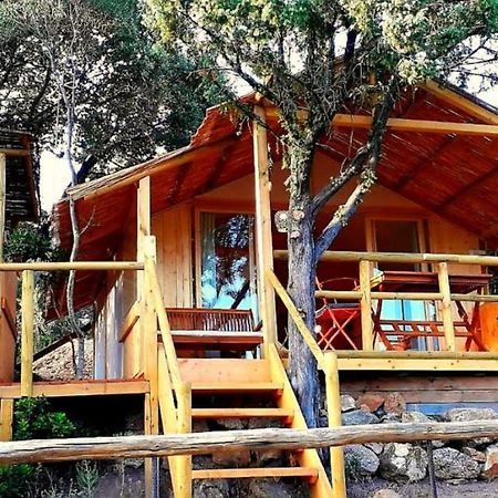 Stazzu La Capretta Farm Camping & Guest Rooms 奧爾比亞 外观 照片
