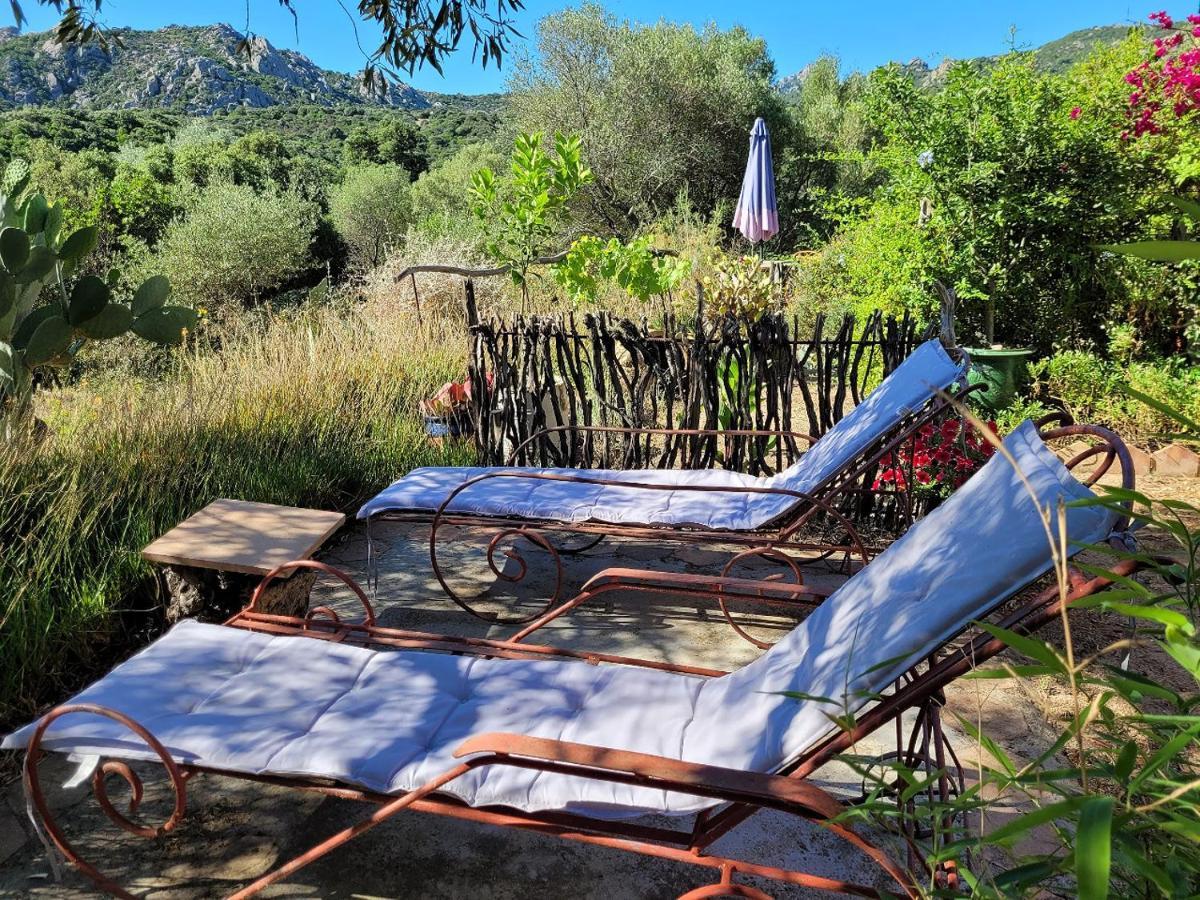 Stazzu La Capretta Farm Camping & Guest Rooms 奧爾比亞 外观 照片