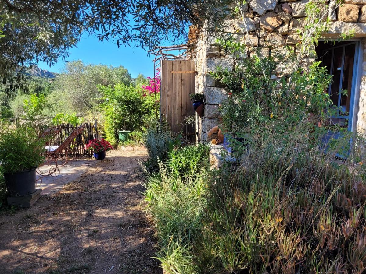 Stazzu La Capretta Farm Camping & Guest Rooms 奧爾比亞 外观 照片