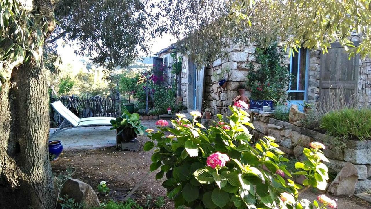 Stazzu La Capretta Farm Camping & Guest Rooms 奧爾比亞 外观 照片