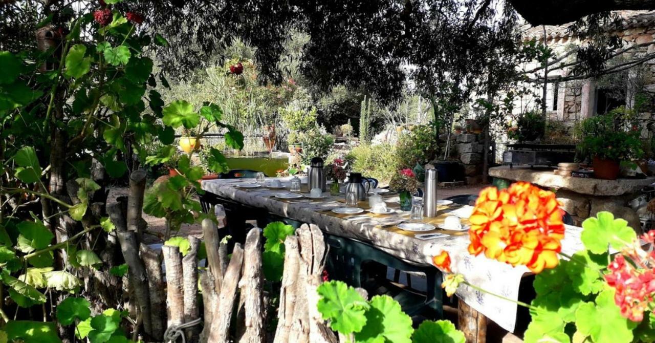 Stazzu La Capretta Farm Camping & Guest Rooms 奧爾比亞 外观 照片