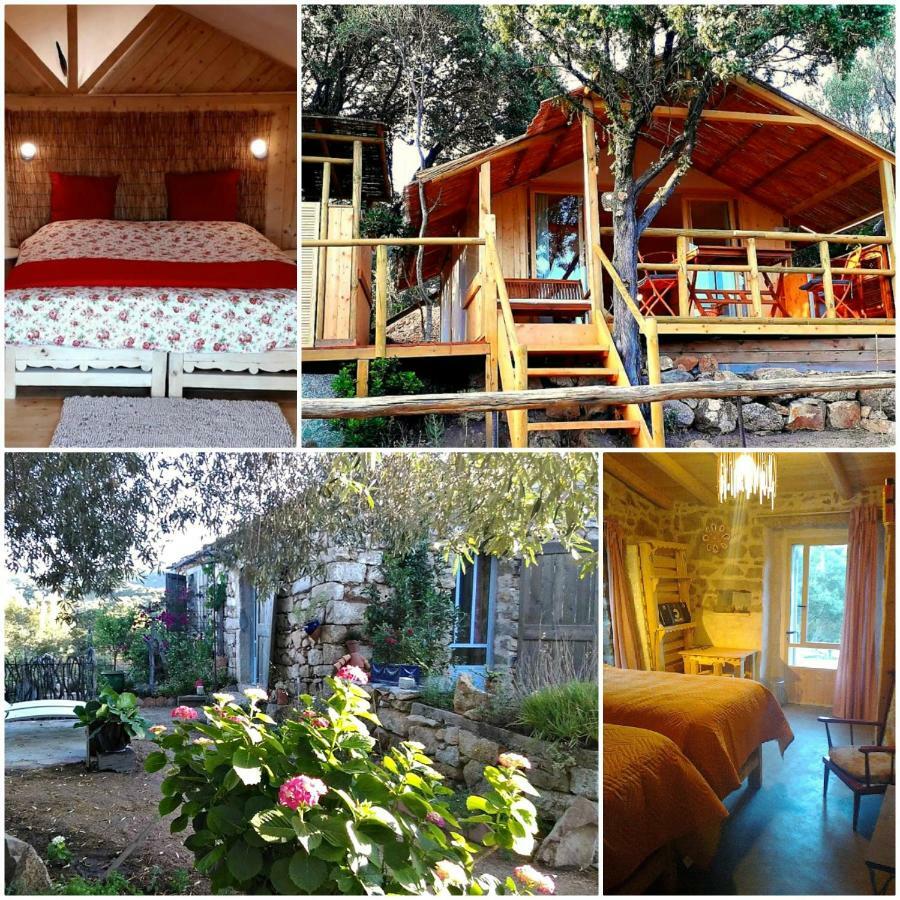 Stazzu La Capretta Farm Camping & Guest Rooms 奧爾比亞 外观 照片
