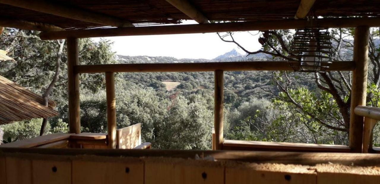 Stazzu La Capretta Farm Camping & Guest Rooms 奧爾比亞 外观 照片